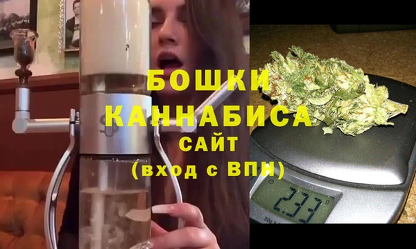ГАЛЛЮЦИНОГЕННЫЕ ГРИБЫ Новозыбков